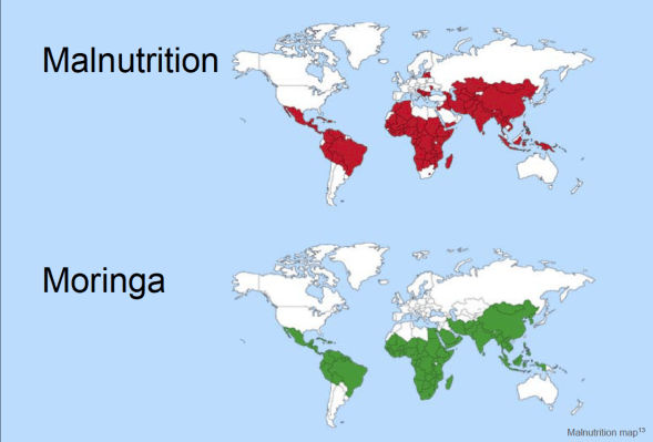Malnutrition and Moringa